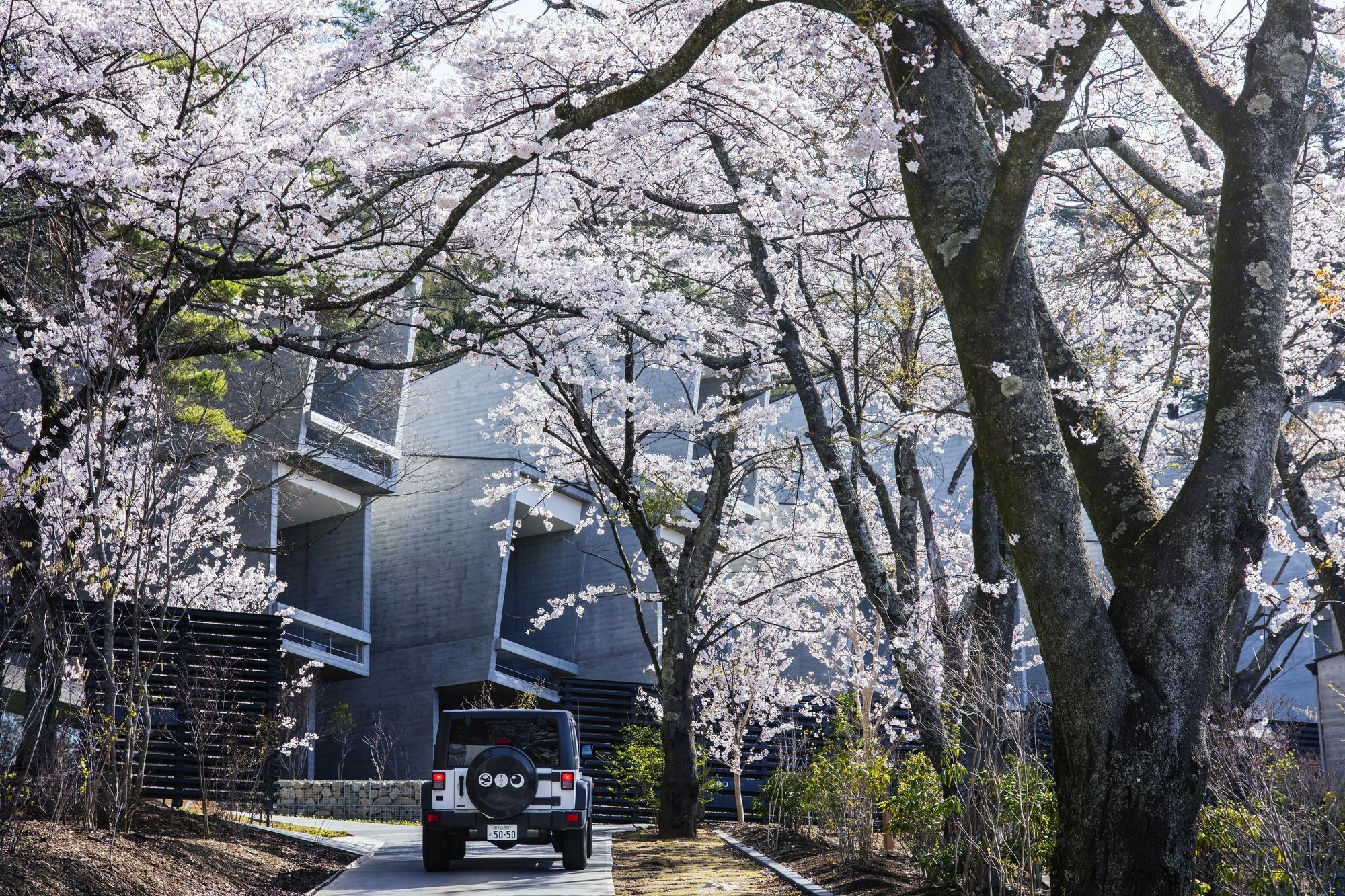 Hoshinoya Fuji Hotell Fujikawaguchiko Eksteriør bilde